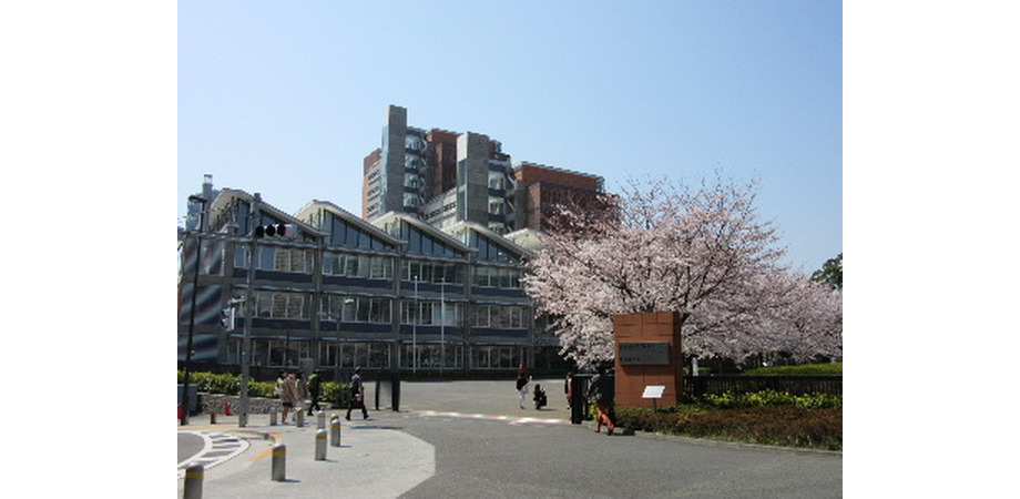 upload/533/20150602/sakura0372.JPG