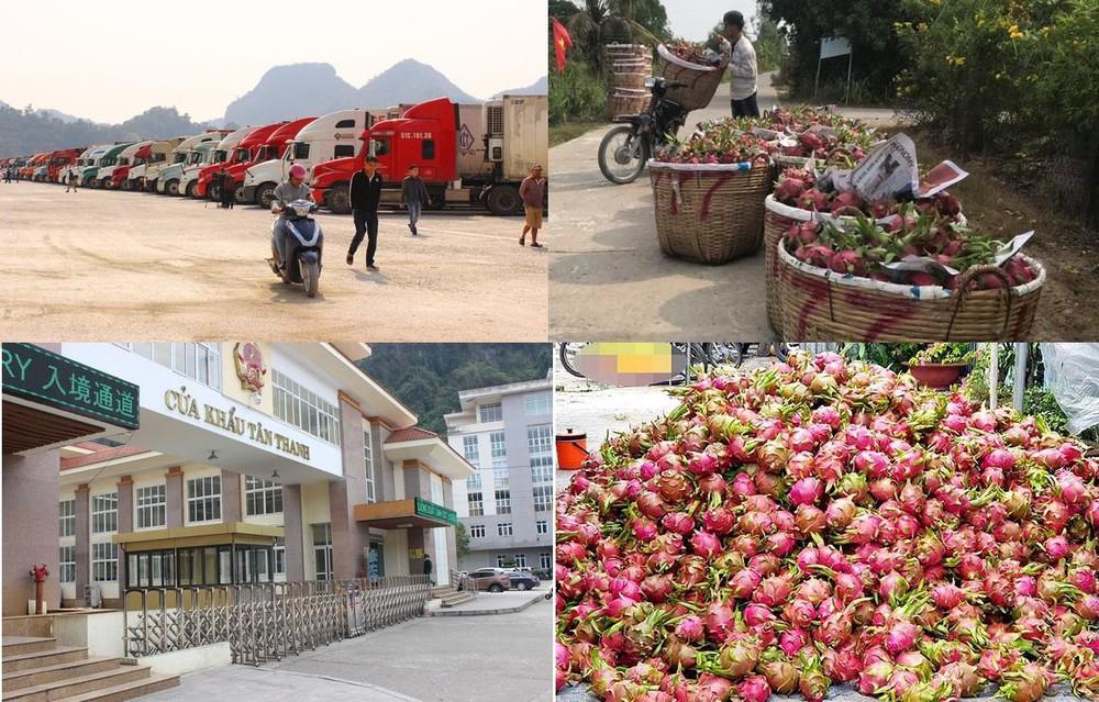 Dịch corona khiến ngành nông nghiệp khó khăn chồng chất khó khăn hình ảnh 20 dich corona khien nganh nong nghiep kho khan chong chat kho khan hinh anh 20