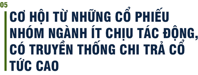 PGS.TS Phạm Thế Anh: Khi thị trường sụt giảm mạnh, cơ hội đầu tư cũng xuất hiện nhiều hơn! - Ảnh 10. PGS.TS Phạm Thế Anh: Khi thị trường sụt giảm mạnh, cơ hội đầu tư cũng xuất hiện nhiều hơn! - Ảnh 10.